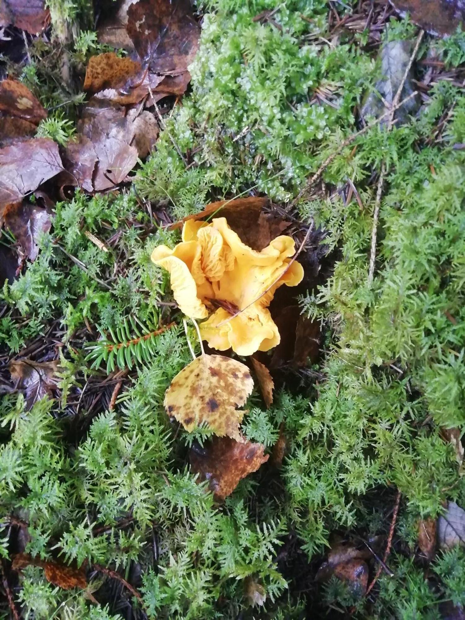Moshults Vandrarhem Skruv Exterior foto
